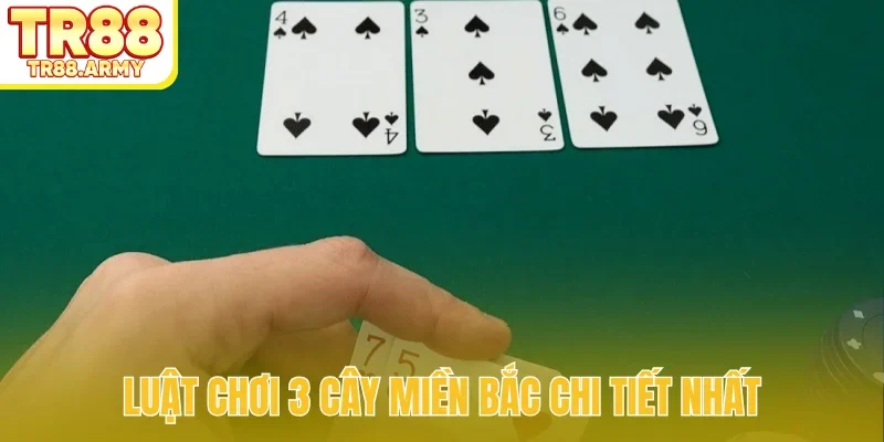 Luật chơi 3 cây miền Bắc chi tiết nhất